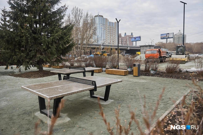 В парке установили теннисные столы | Источник: Александр Ощепков / NGS.RU