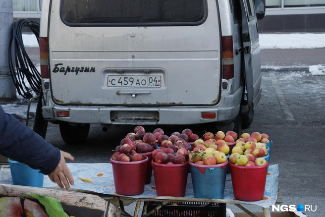 На ярмарке много алтайских яблок | Источник: Стас Соколов / NGS.RU