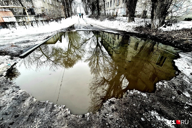 Возможно, город и правда меняется, когда кто‑то решает увидеть его иначе | Источник: Константин Завриков / V1.RU