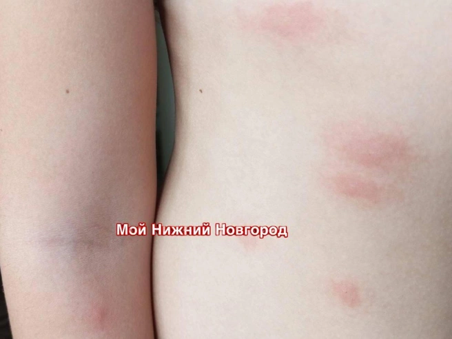 Источник: «Мой Нижний Новгород» / t.me