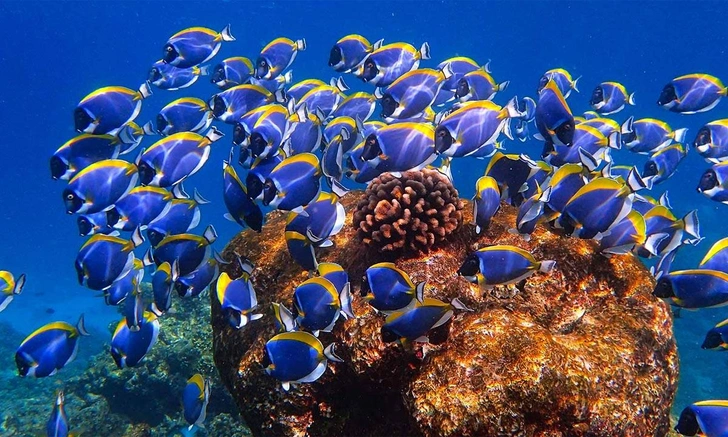 Источник: пресс-служба