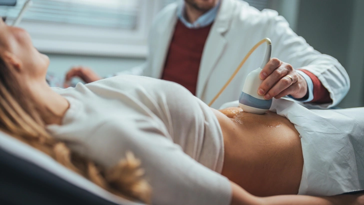 Источник: Shutterstock/Fotodom.ru