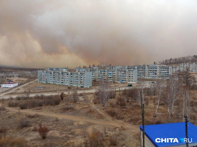 Стена дыма поднимается над поселком | Источник: очевидец