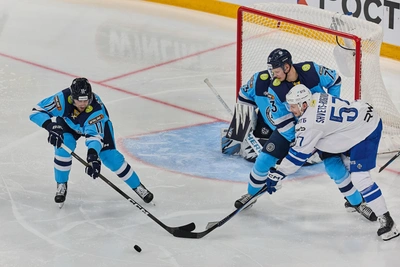 Динамо-Алтай завершит год домашними играми в Титов-Арене