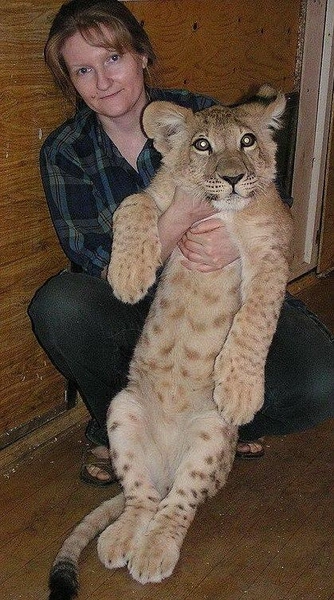 Источник: «Иркутский зоопарк» / Telegram