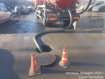 Источник: Комитет по благоустройству