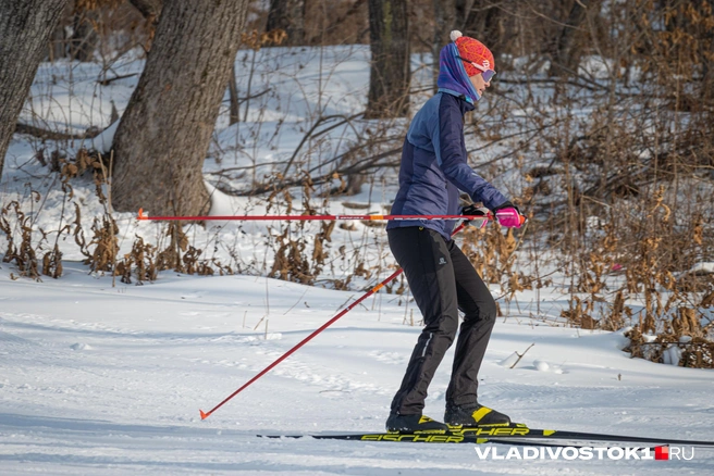 Соглашение о создании курорта подписали еще на ВЭФ-2022 | Источник: Елена Буйвол / VLADIVOSTOK1.RU