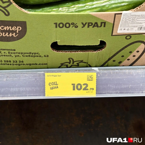 Источник: Булат Салихов / UFA1.RU
