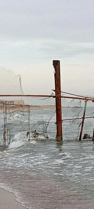Поисковики прочесали около 140 километров береговой линии, но не нашли ни одной зацепки после пропажи | Источник: ANNATSOMARTOVA22 / Т.me