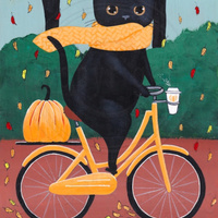 Аватарка kosh6ka