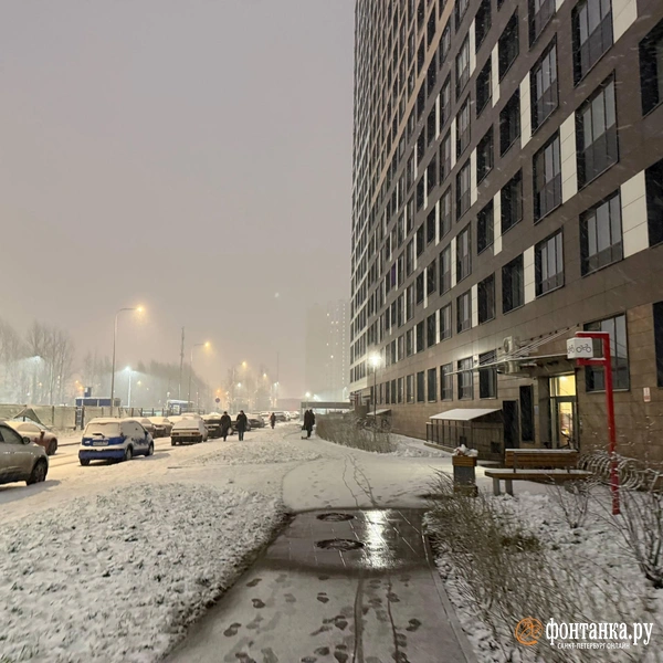 Источник: FONTANKA.RU