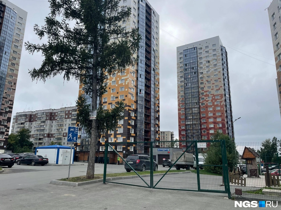 Трудно представить здесь деревянные домики (ориентироваться пришлось по деревьям) | Источник: Алёна Золотухина / NGS.RU