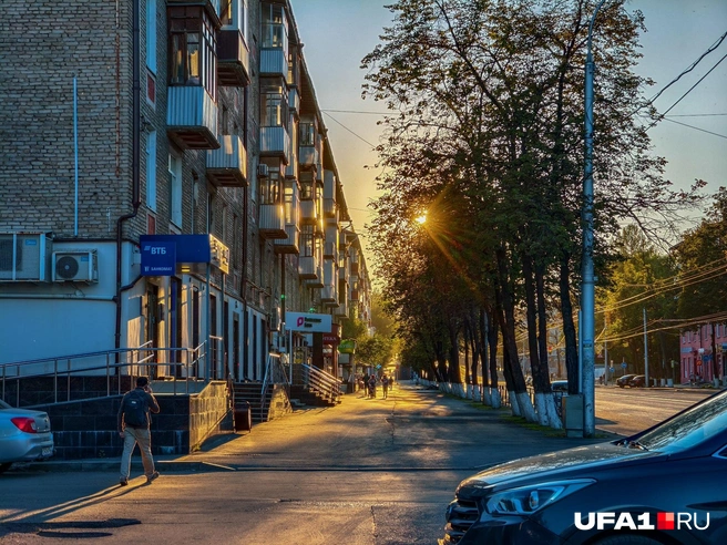 На этой улице пока ещё есть высокие деревья | Источник: Булат Салихов / UFA1.RU