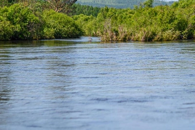 Вода в Исети поднялась на 20 см за сутки у Катайска