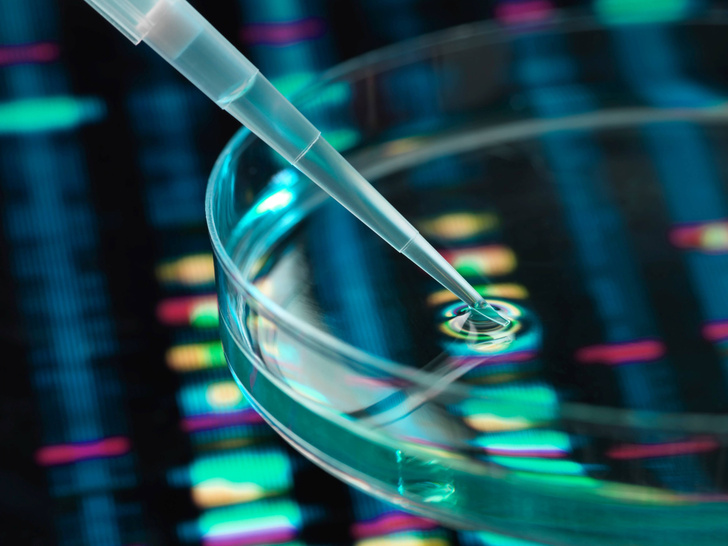 Ученые призывают ввести глобальный мораторий на генетическое редактирование эмбрионов человека