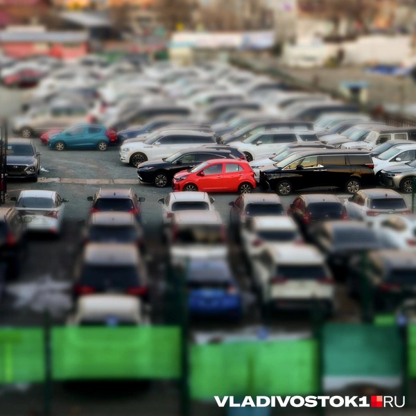 Источник: Алиса Князева / VLADIVOSTOK1.RU