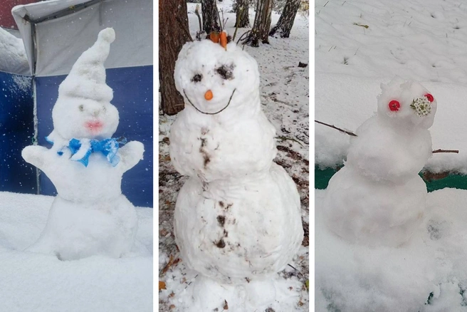 Как вам такое творчество? | Источник: «Новости Омска | Жесть» / T.me