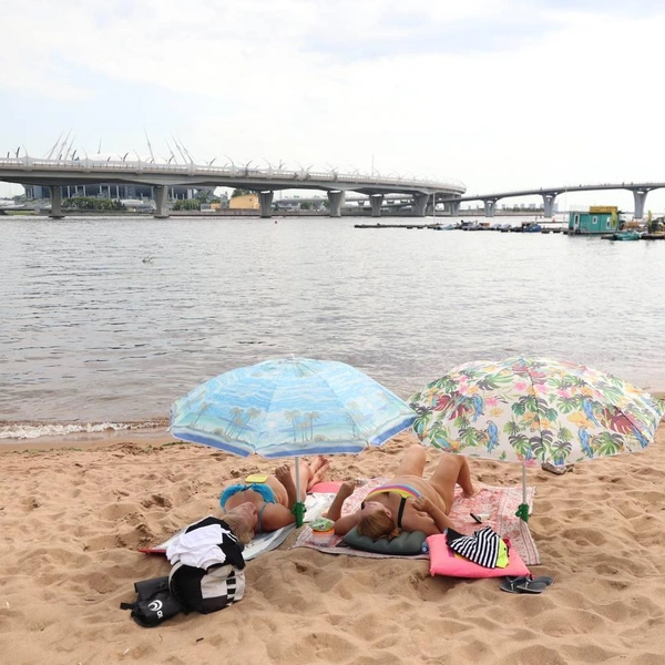 Источник: Сергей Михайличенко / «Фонтанка.ру»