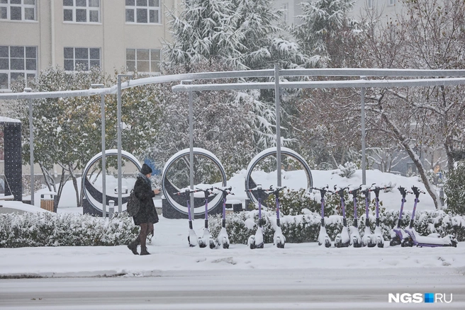 Источник: Александр Ощепков / NGS.RU