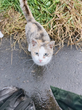 Источник: Виктория Астратова