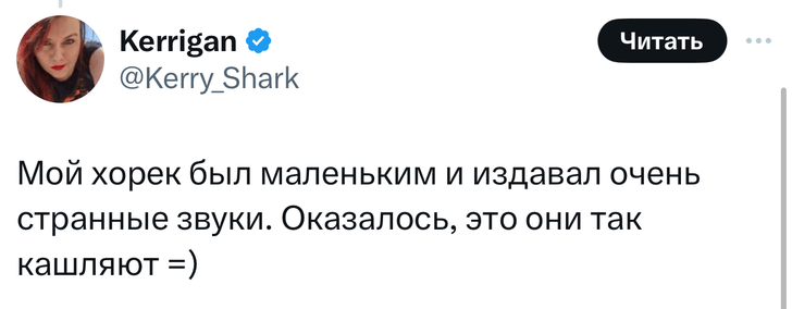 В «Твиттере» делятся тупыми причинами, по которым возили животных в ветеринарные клиники. И это уморительно!