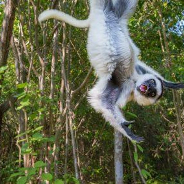 Источник: Nature Photographer of the Year