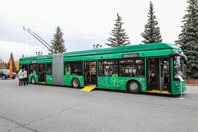 Такая вот гармонь | Источник: Ратмир Мавлиев / Telegram