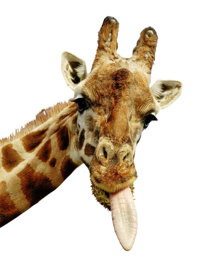iStock