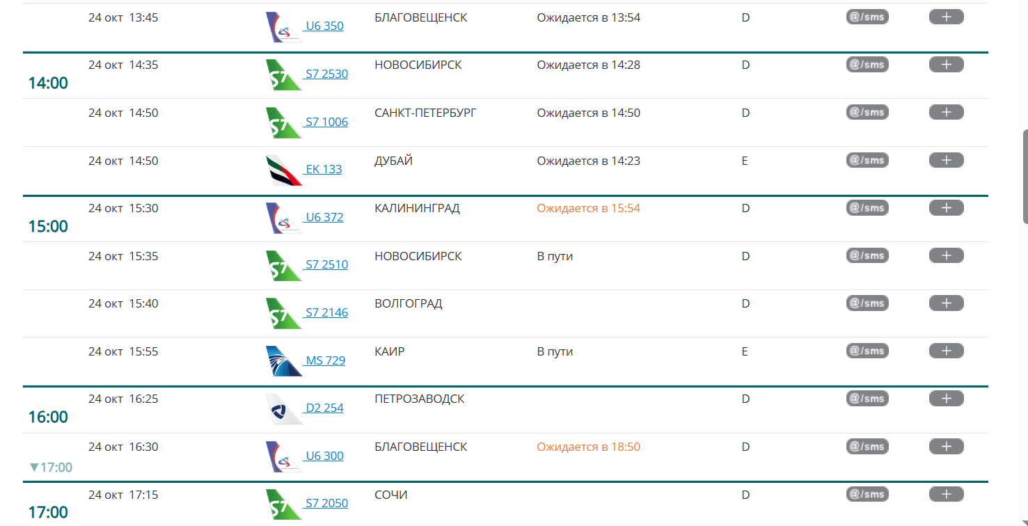 После транспортного коллапса в аэропортах Москвы задержаны сотни рейсов