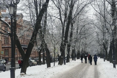 Изморозь украсила Петербург после тумана