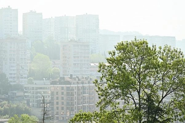 Туман образуется из-за резкой разницы температур между сушей и морем | Источник: sochi.ru