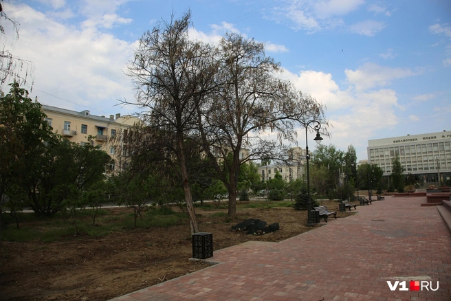 То тут, то там можно заметить скромные куски ткани, скрывающие под собой мусор | Источник: Константин Завриков / V1.RU