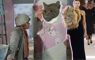 Застрял и прославился: 15 самых смешных мемов про котика из Уфы