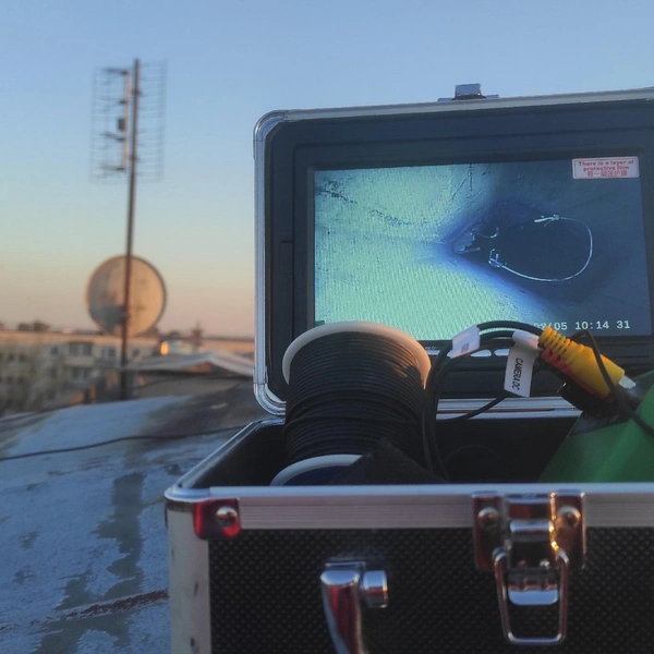 Источник: КОШКИСПАС. Спасение животных