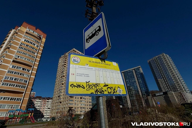 Источник: Елена Буйвол / VLADIVOSTOK1.RU