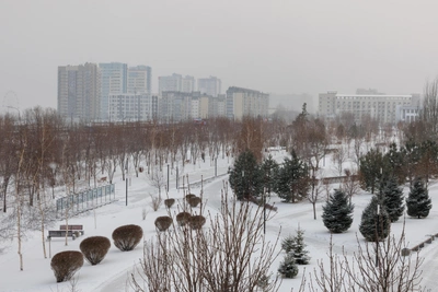 Волгоград и область: усиление ветра и осадки