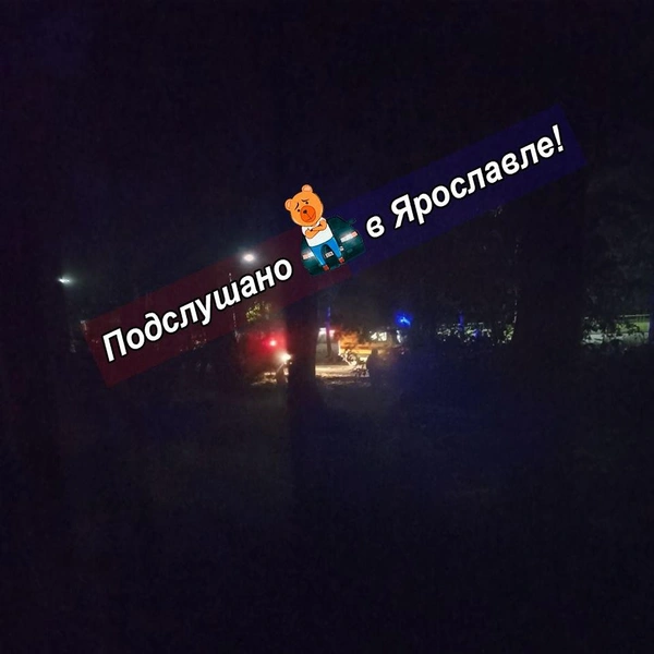 На проспекте Фрунзе сбили двух пешеходов | Источник: Подслушано в Ярославле / Telegram