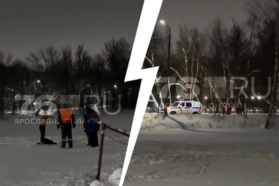 В Ярославле задержали мужчину за буйство у крещенской купели