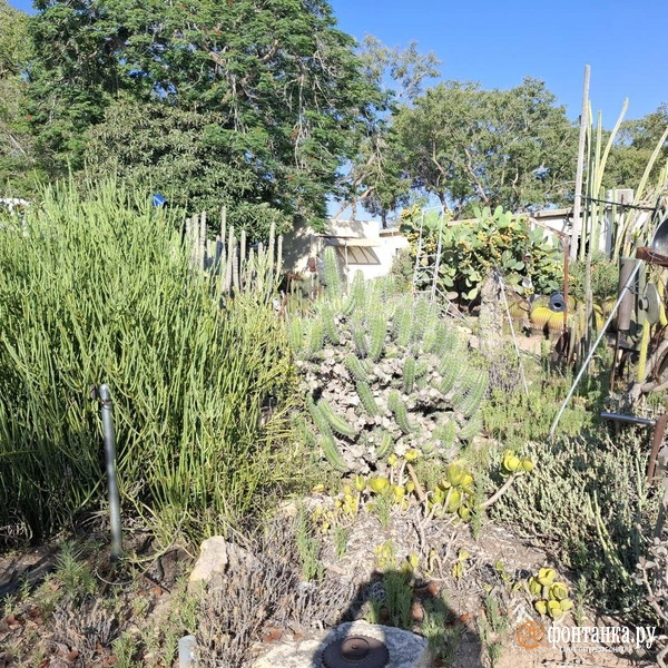 Источник: Ирина Багликова / «Фонтанка.ру»