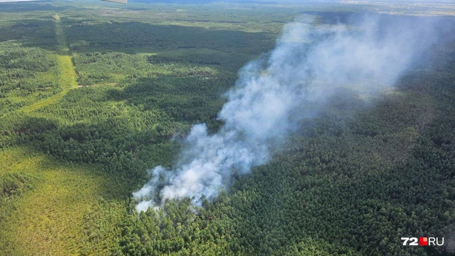 Причина этого пожара&nbsp;— гроза | Источник: предоставлено Сергеем 