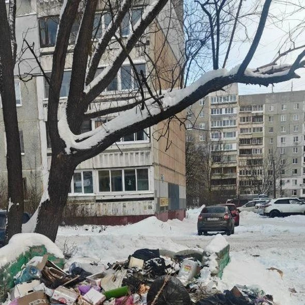 Мешки с мусором лежат на территории всей площадки  | Источник: читатель 76.ru
