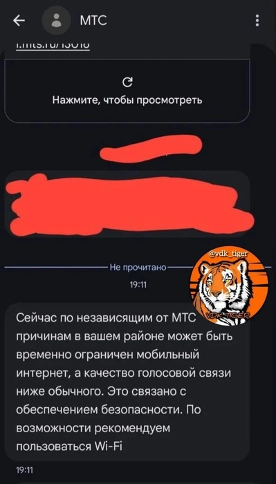 Источник: vdk_tiger_vladivostok25 / Telegram-канал