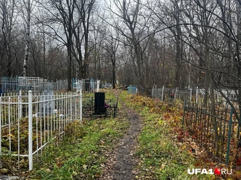Источник: Екатерина Чижик / UFA1.RU