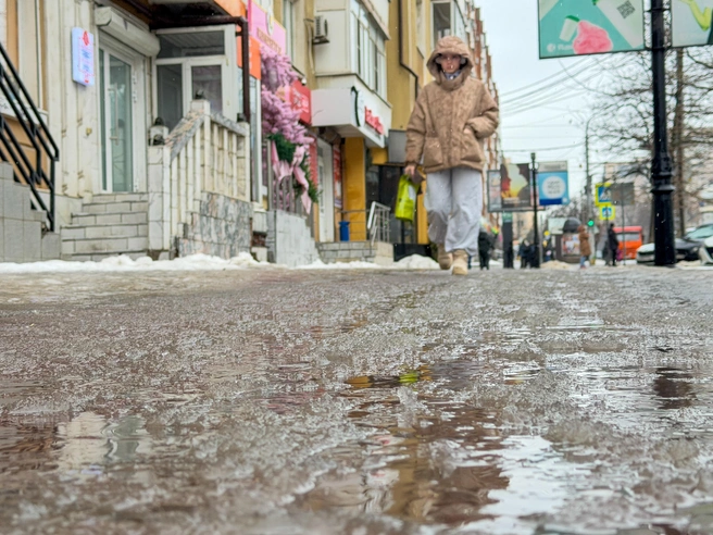 Источник: Евгений Вдовин / 161.RU