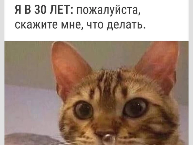 И поподробнее | Источник: Городские медиа