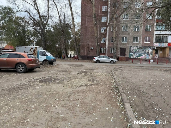 Источник: Полина Шевчукова / NGS22.RU