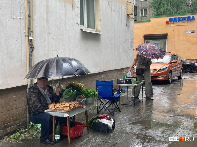 Грибники жалуются, что спрос небольшой | Источник: Анастасия Ивасишина / E1.RU