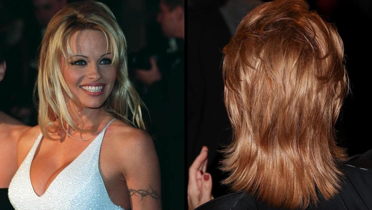 памела андерсон, памела андерсон сейчас, памела андерсон фильмы, памела андерсон 2025, памела андерсон 2025 год, памела андерсон спасатели малибу | Источник: Legion Media