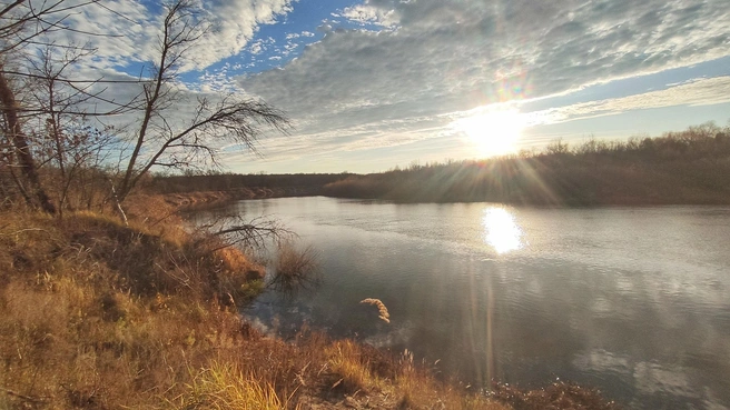 Источник: Ирина Голоколенова