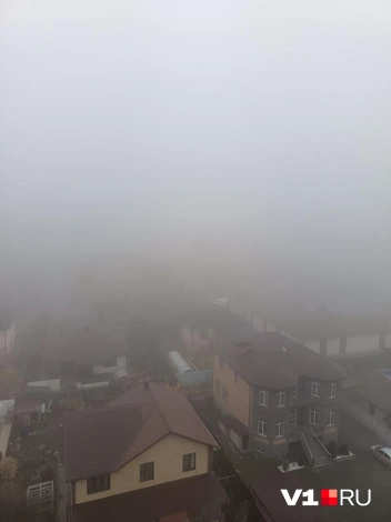 А здесь, напротив, домики прячутся | Источник: читатель V1.RU